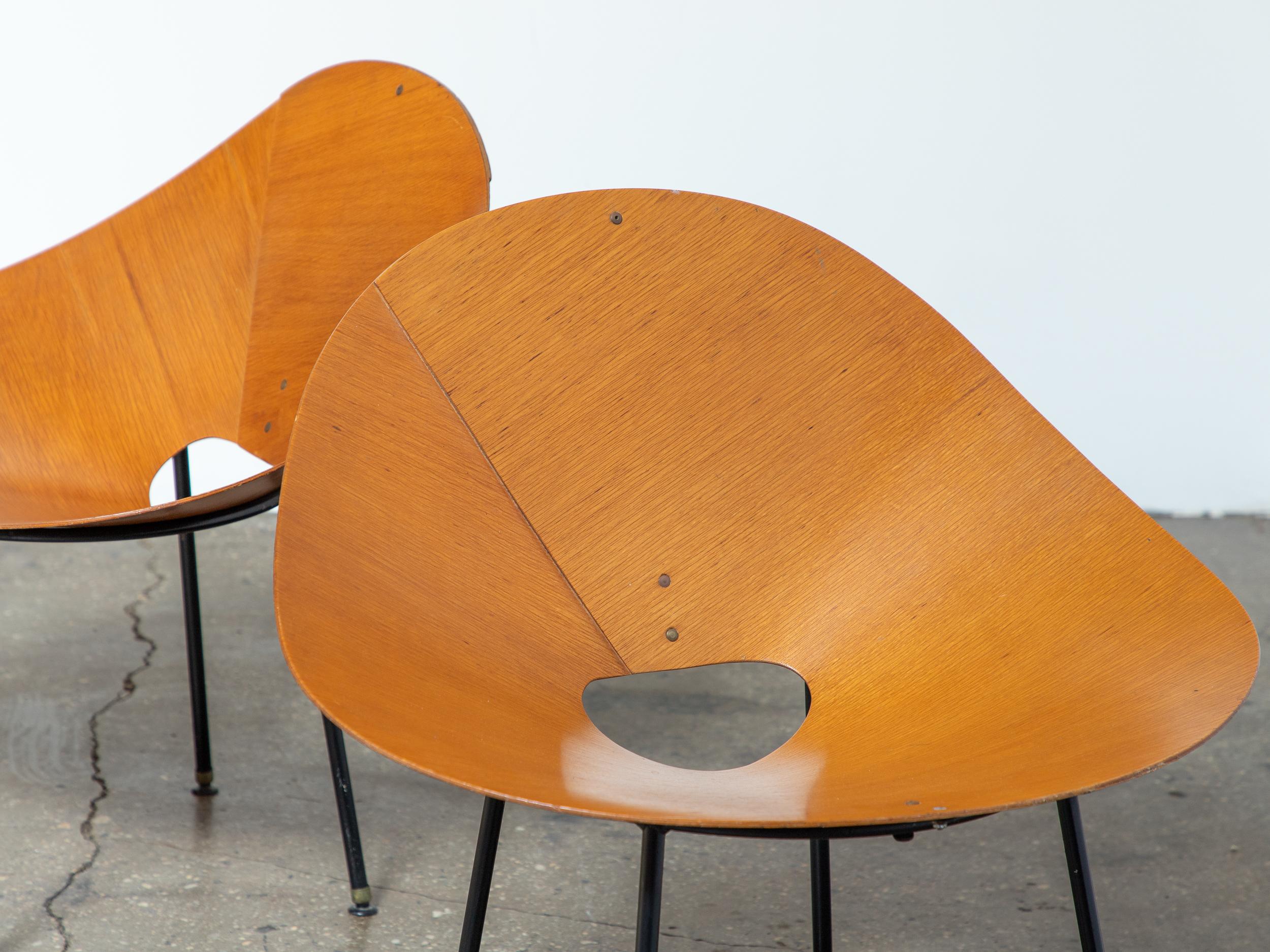 Plywood Mid Century Modern Kone Lounge Chairs by Australian designer Roger McLay For Sale 1