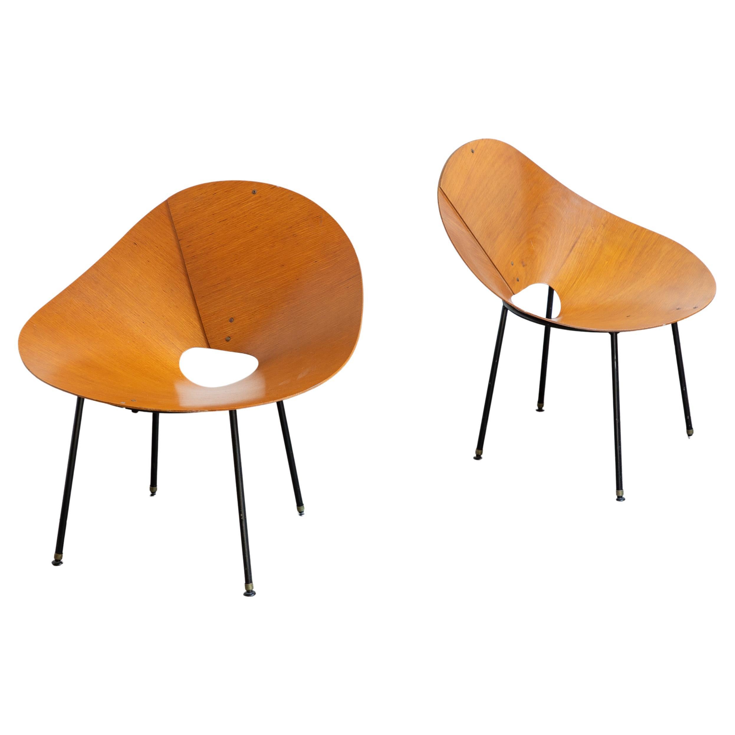 Plywood Mid Century Modern Kone Lounge Chairs by Australian designer Roger McLay For Sale