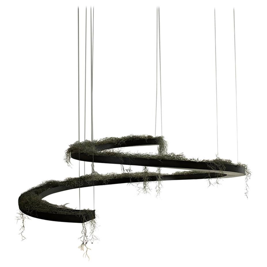 Spirale es una escultura que forma parte de la colección 