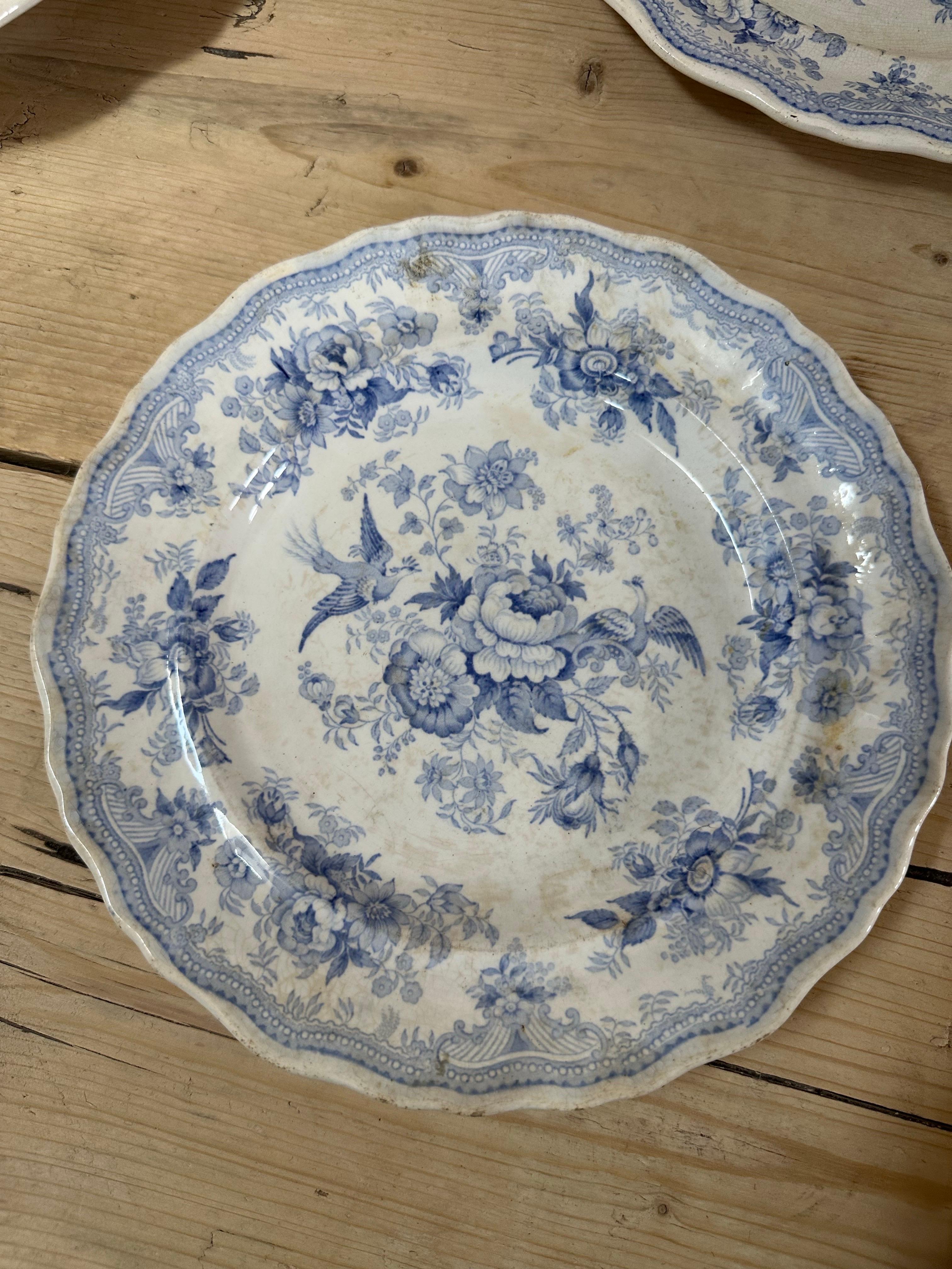 17-Piece Podmore, Walker & Co. Asiatic Pheasants Dinner Service, Circa 1840 For Sale 5