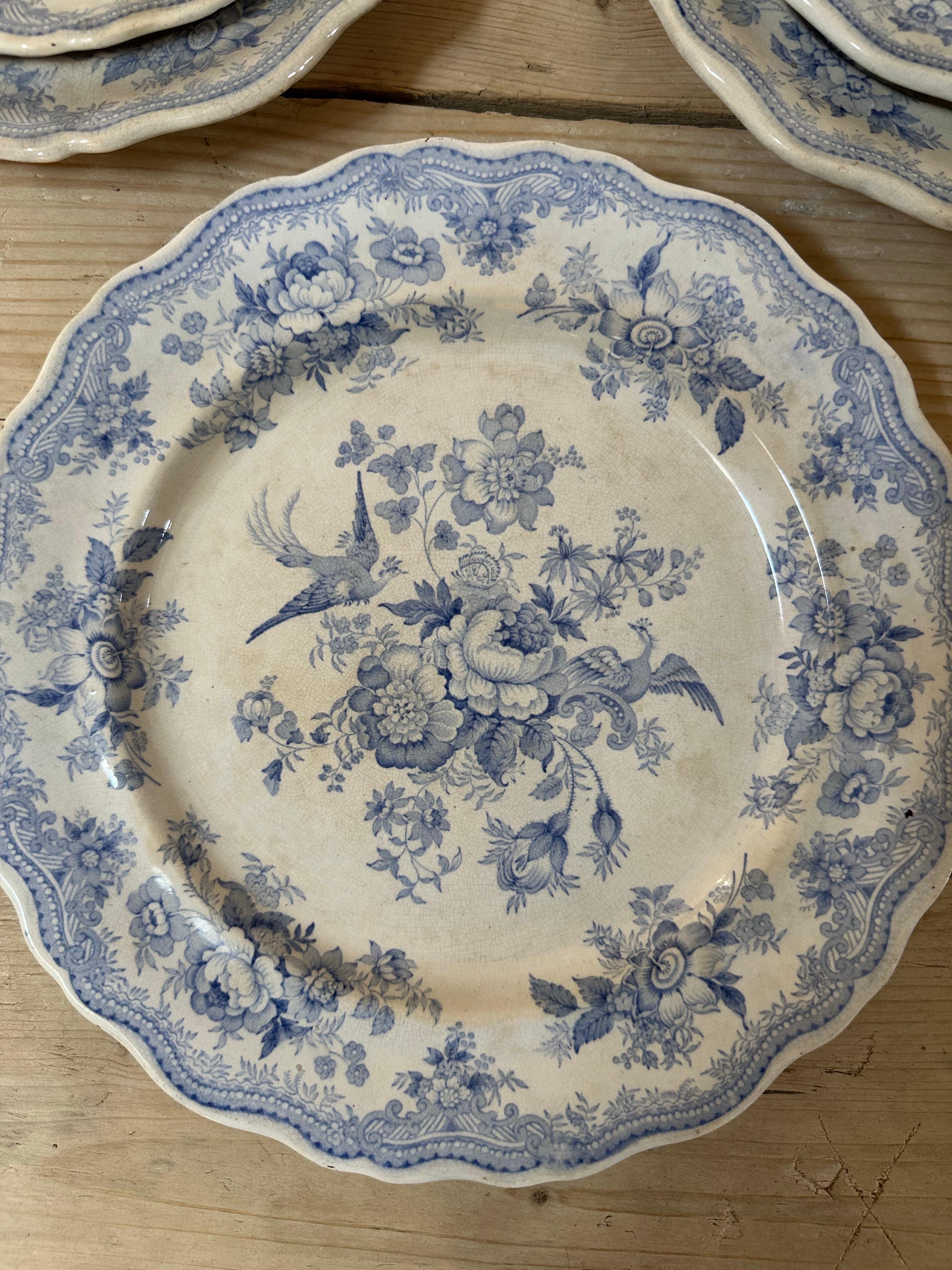 17-Piece Podmore, Walker & Co. Asiatic Pheasants Dinner Service, Circa 1840 For Sale 6