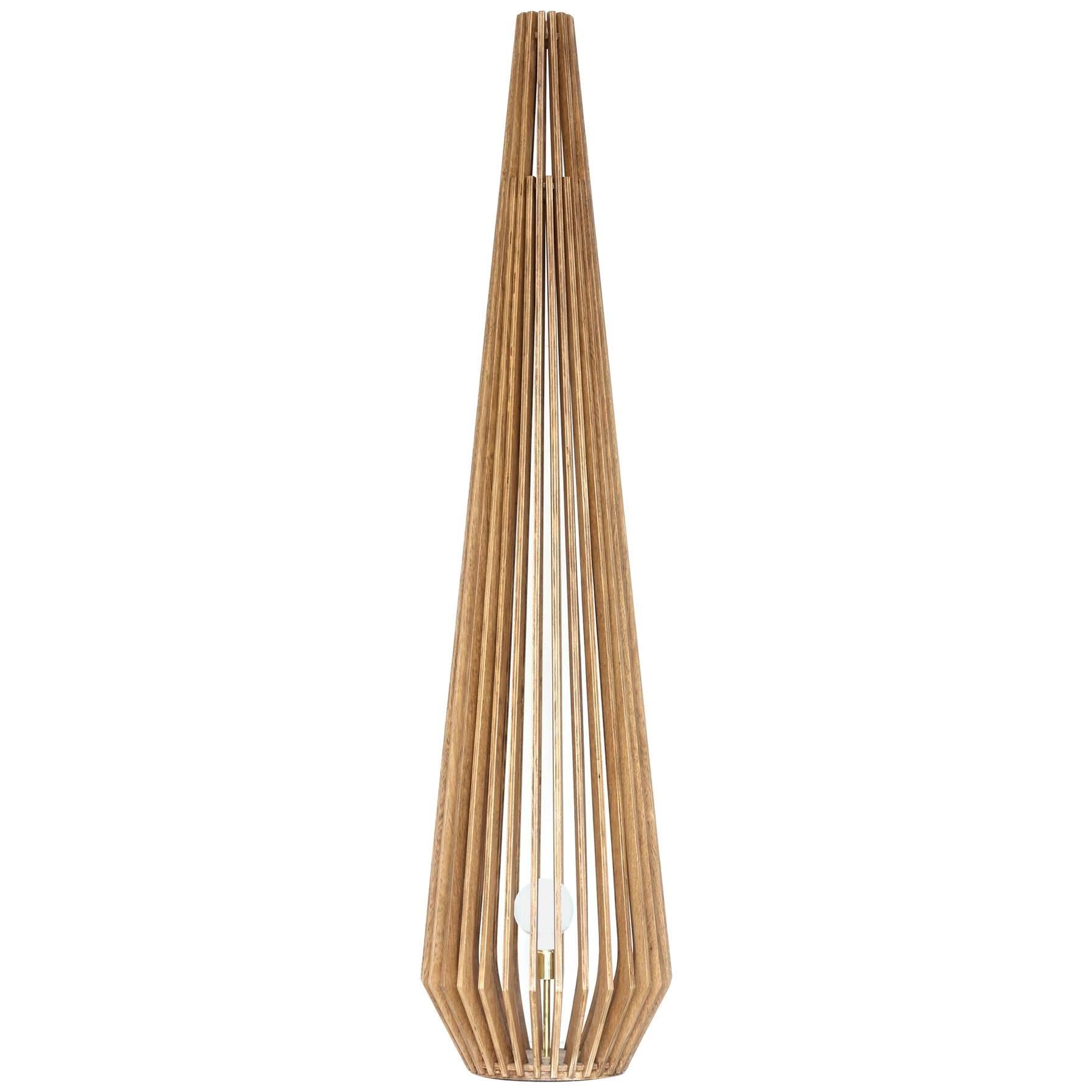 Point Brazilian Contemporary Wood Floor Lamp by Lattoog