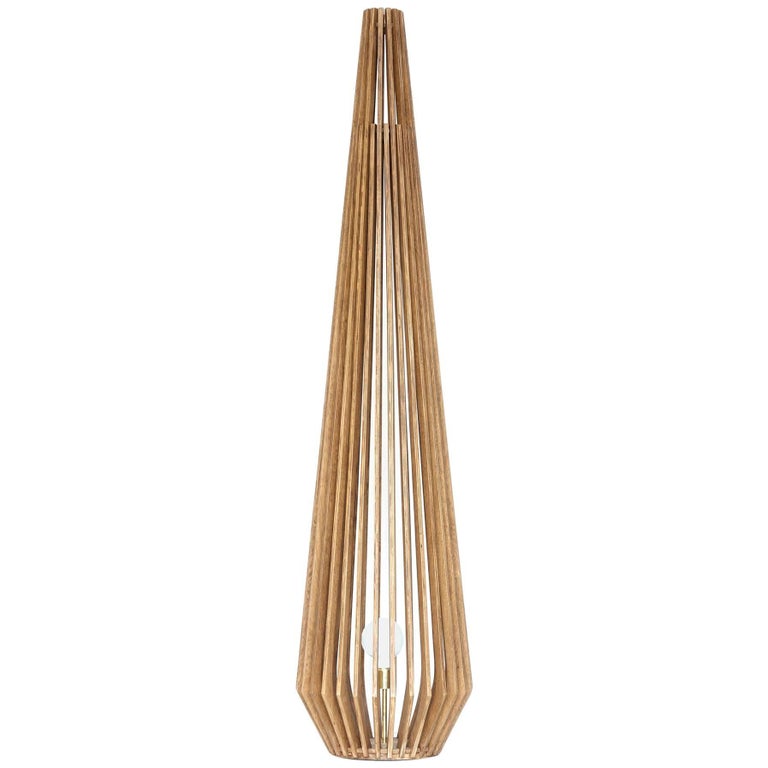 Point Brazilian Contemporary Wood Floor Lamp by Lattoog For Sale at