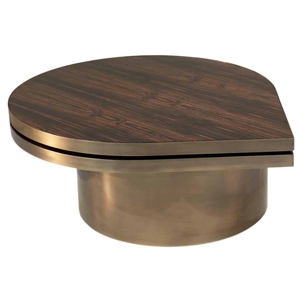 "Point II" Brass and Glass Coffee Table For Sale