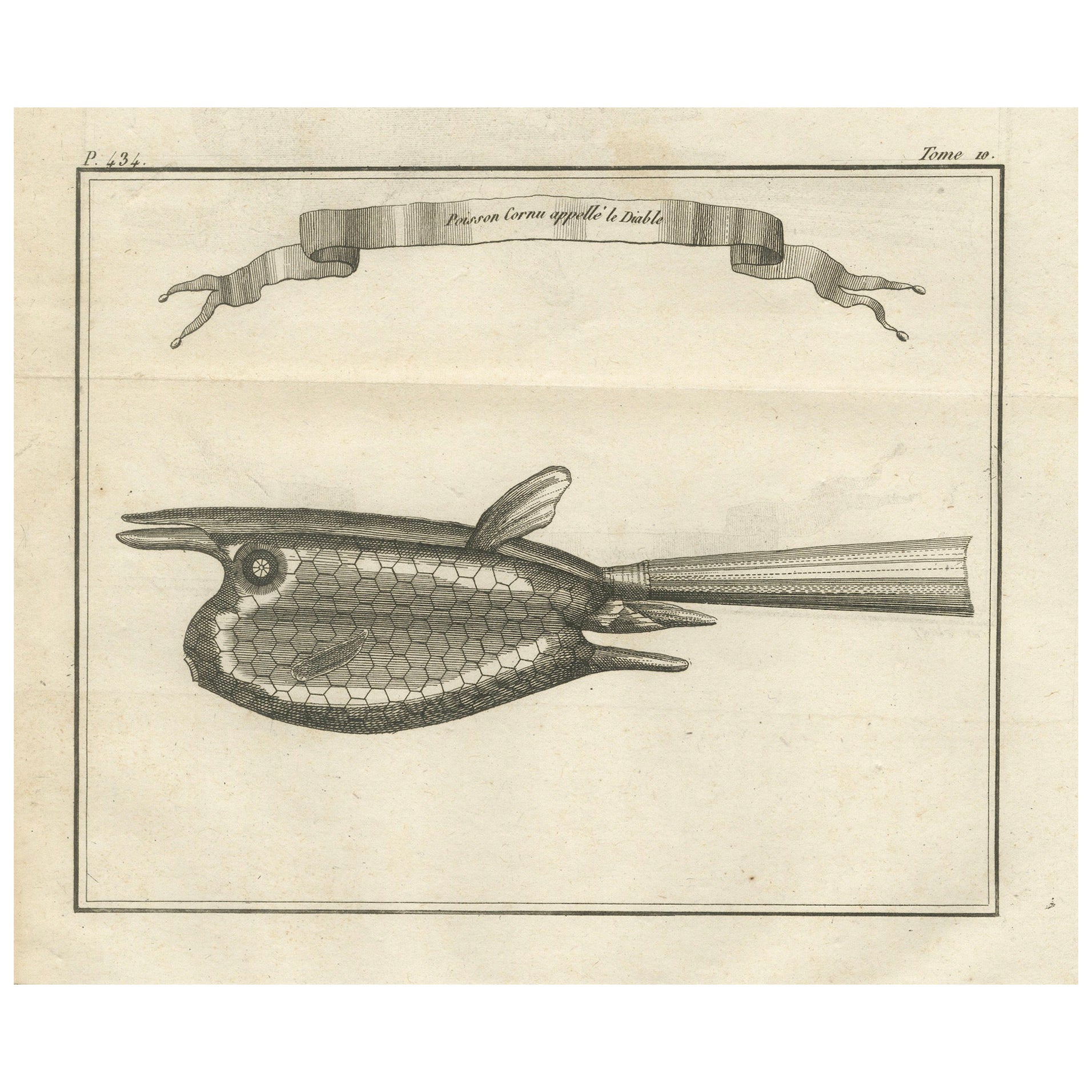 Poisson Cornu dit "Le Diable" - Antique French Engraving of a Horned Fish, 1790 en vente