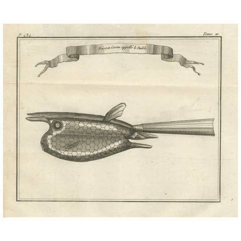 Poisson Cornu dit “Le Diable” – Antique French Engraving of a Horned Fish, 1790