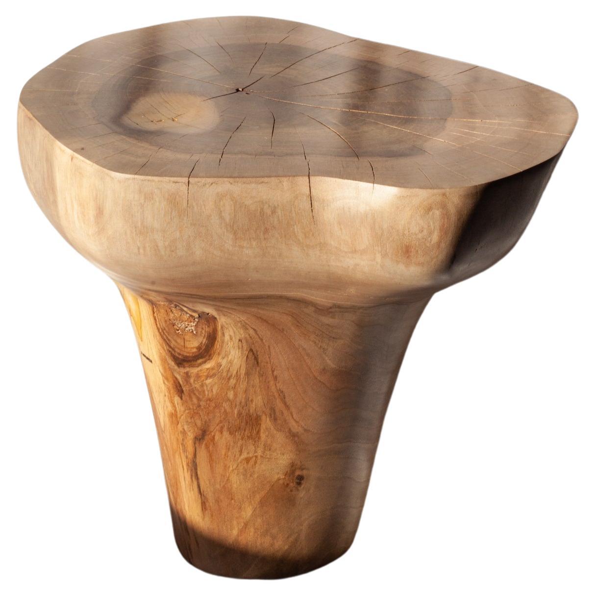 Pok Stool 1 by Antoine Maurice