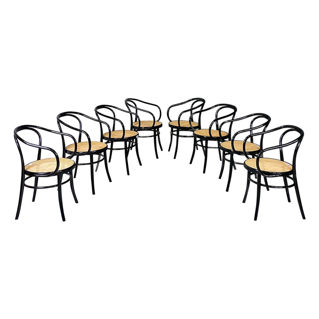 Moderne polnische Stühle aus Buche und Stroh 209 von Michael Thonet für Radomsko, 1970er Jahre