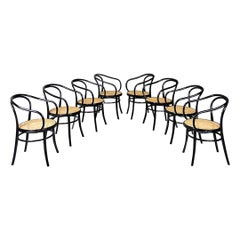 Poland modern beech and straw 209 chairs by Michael Thonet for Radomsko, 1970s