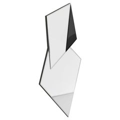 Polaris Mirror