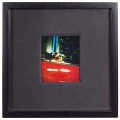 Polaroid Test Image #36 by Denise Tarantino for Dah Len Studios