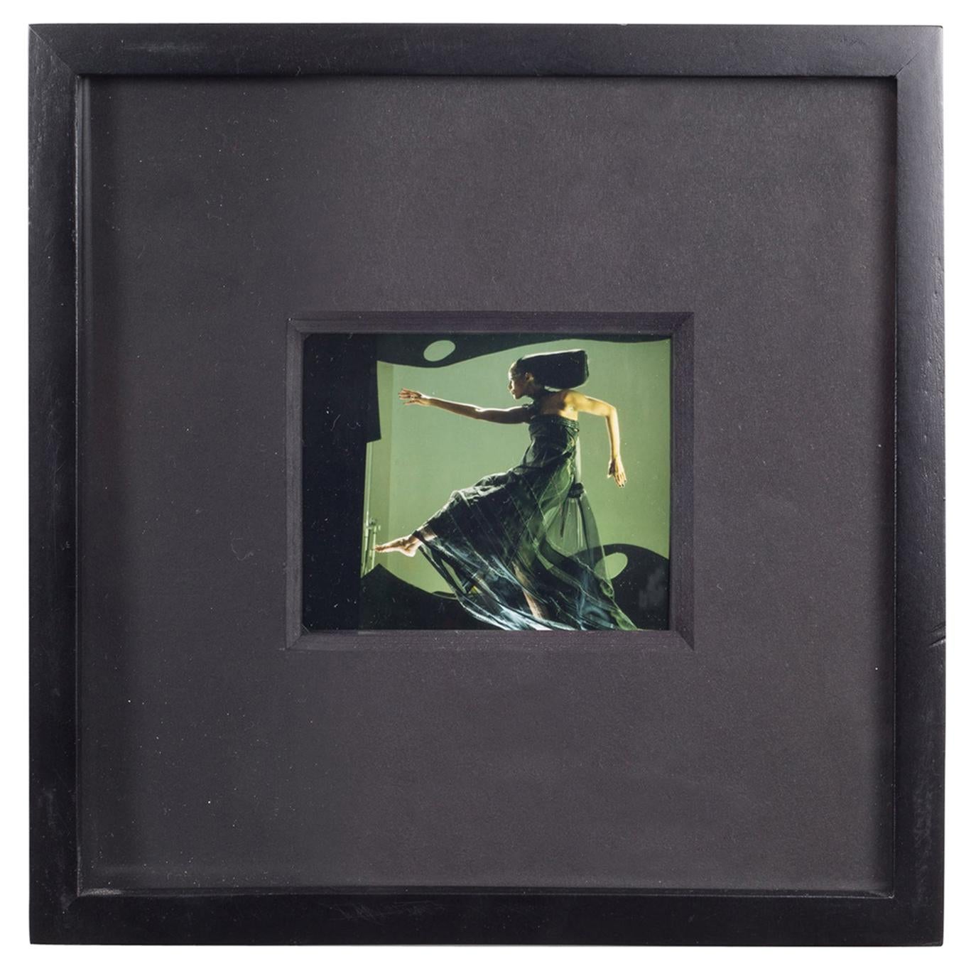 Polaroid Test Image #42 by Denise Tarantino for Dah Len Studios