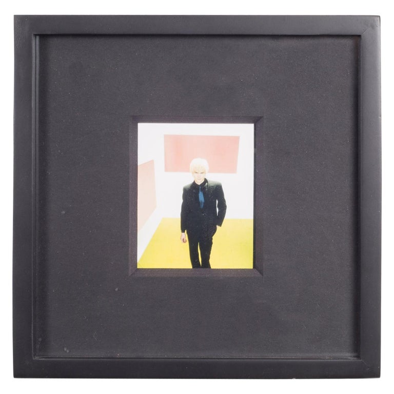 Polaroid Test Image #52 by Denise Tarantino for Dah Len Studios For Sale at  1stDibs