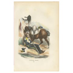 Chevau-Léger polonais de la Garde impériale, gravure de la cavalerie napoléonienne, 1843