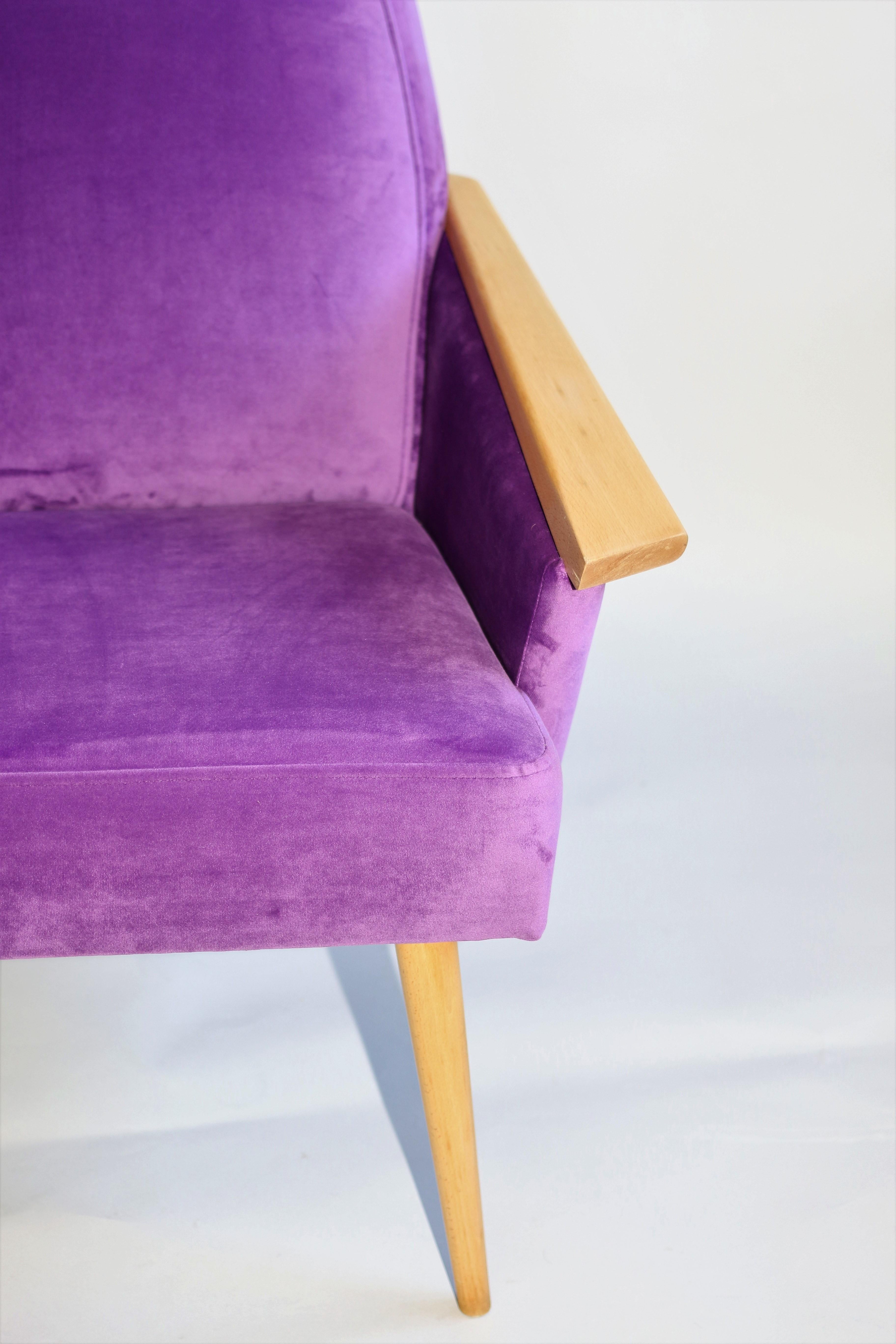 Restored polish club armchair in purple velvet from 1970s, new upholstery covered with velvet fabric in fashionable purple color, finished with wooden chair cushion. Wooden elements in natural wood color and beech tree. Perfect