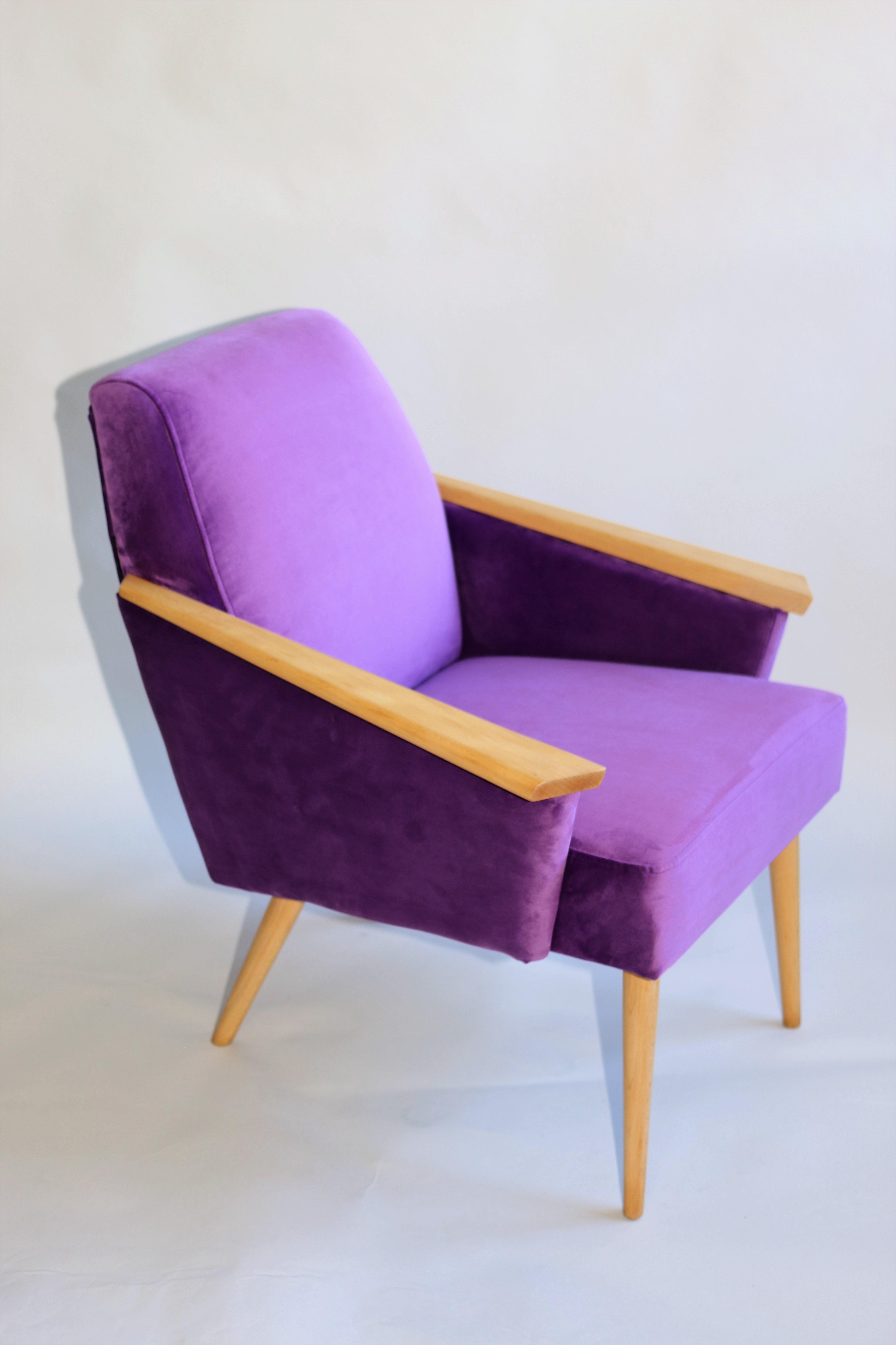 Mid-Century Modern Polish Club Armchair in Purple Velvet from 20th Century For Sale