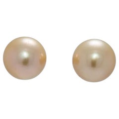 Polished 12.9mm Gold South Sea Pearl Earrings in 18K Yellow Gold
