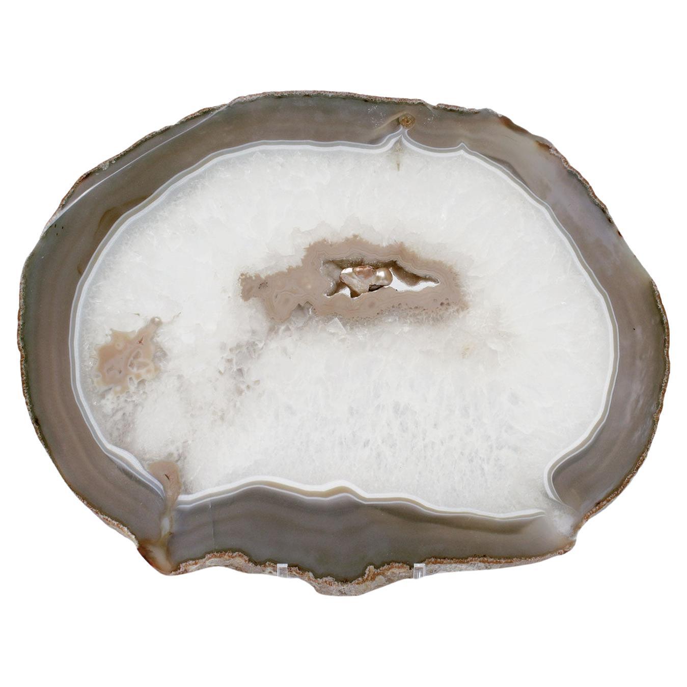 Polished Agate Slice with Natural Forming Pearl Accent