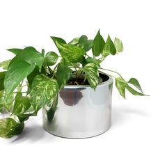 Polished Aluminum Planter by Paul Mayen for Habitat