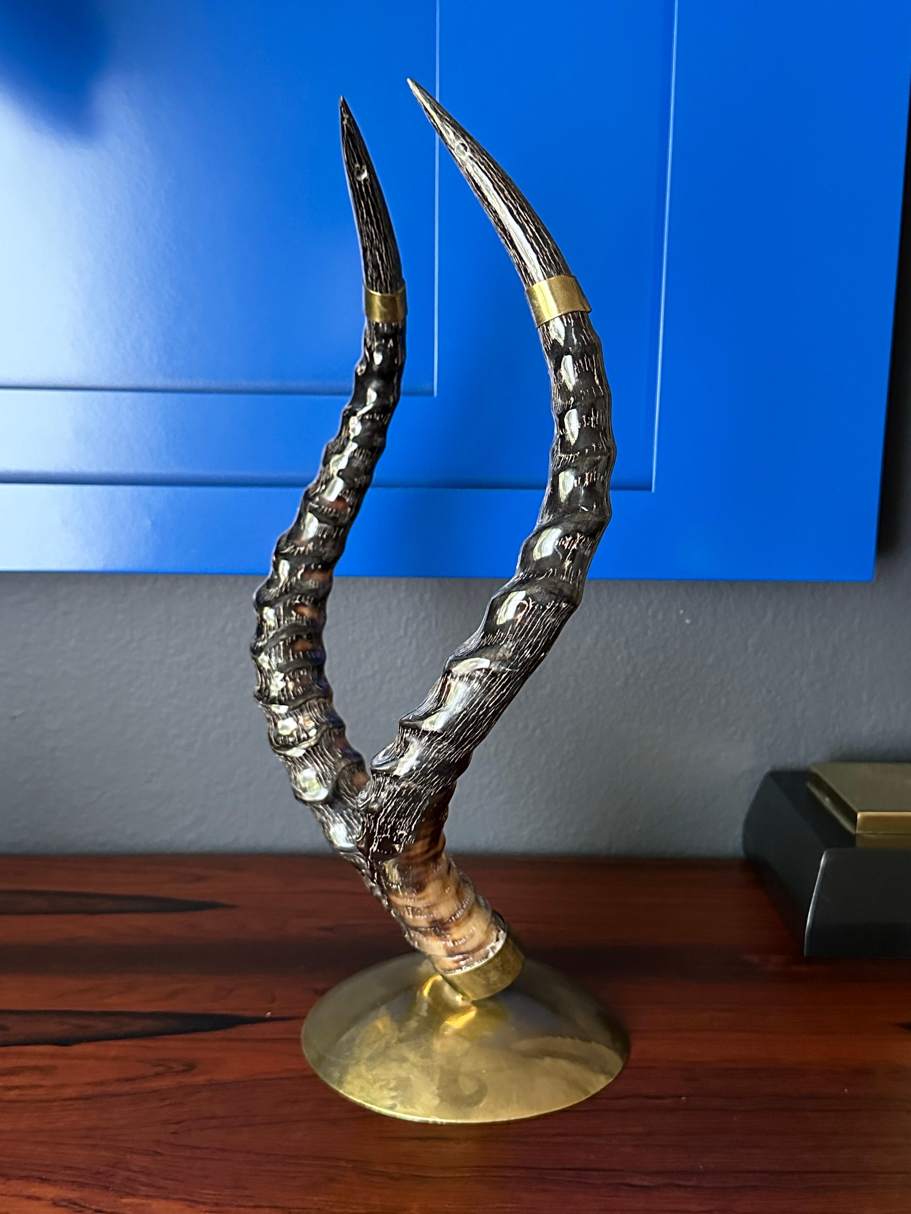 Late 20th Century Polished Antelope Horns on Brass Base For Sale