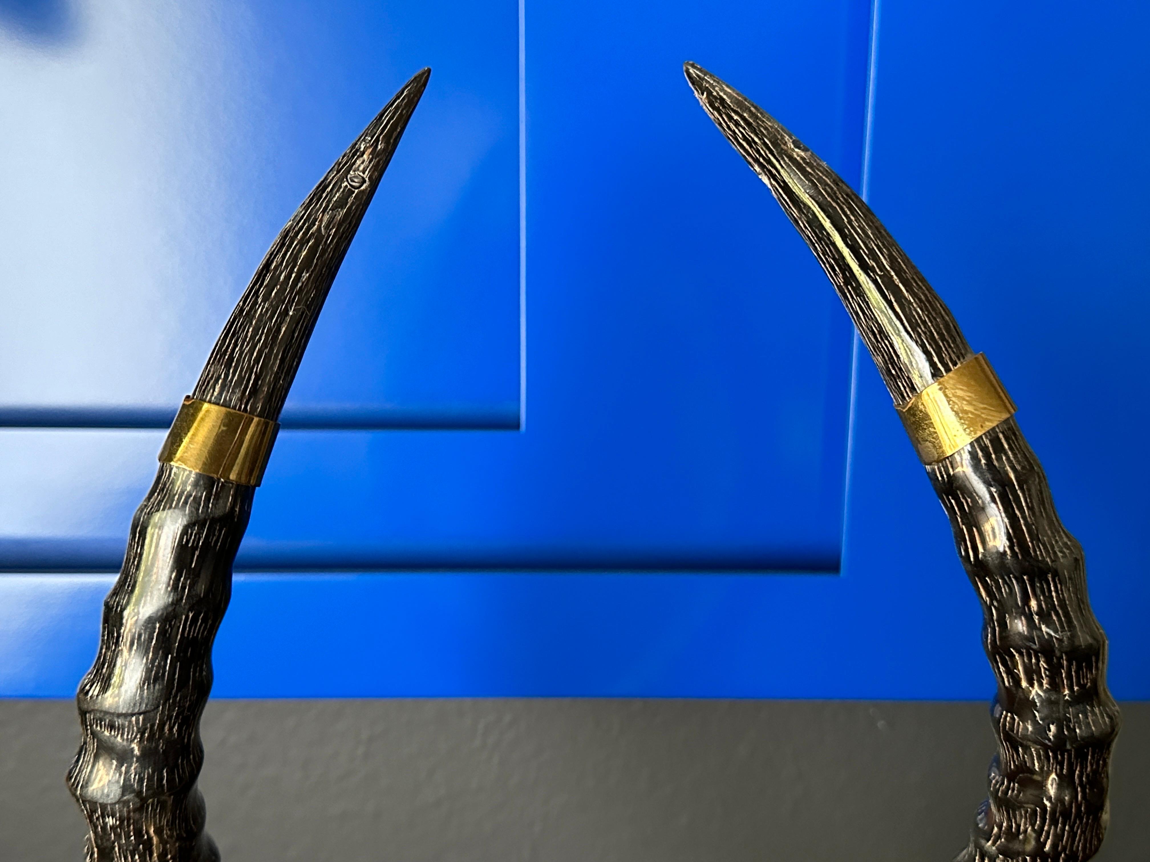 Polished Antelope Horns on Brass Base For Sale 2