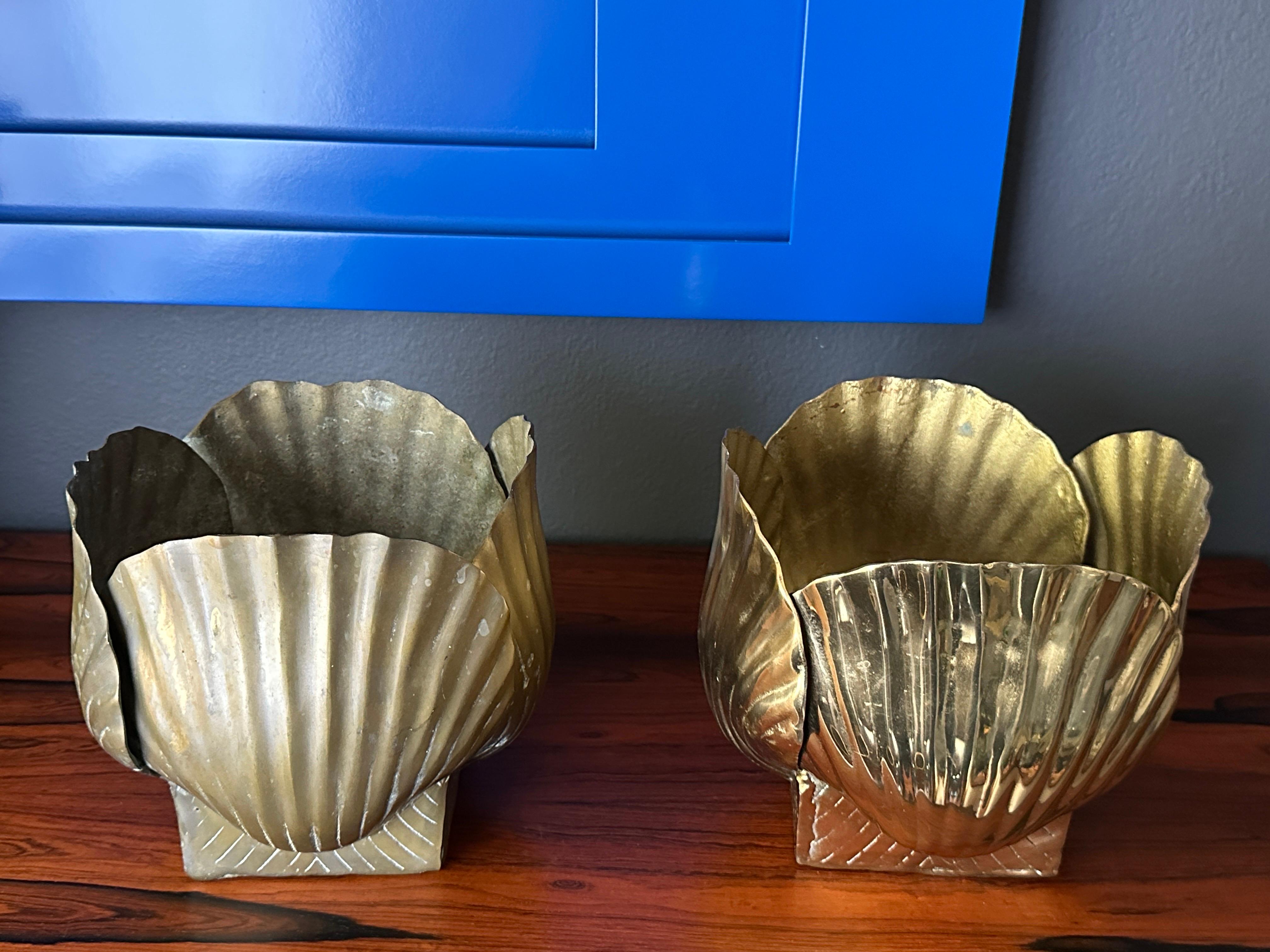 Polished Brass Sea Shell Planter 4