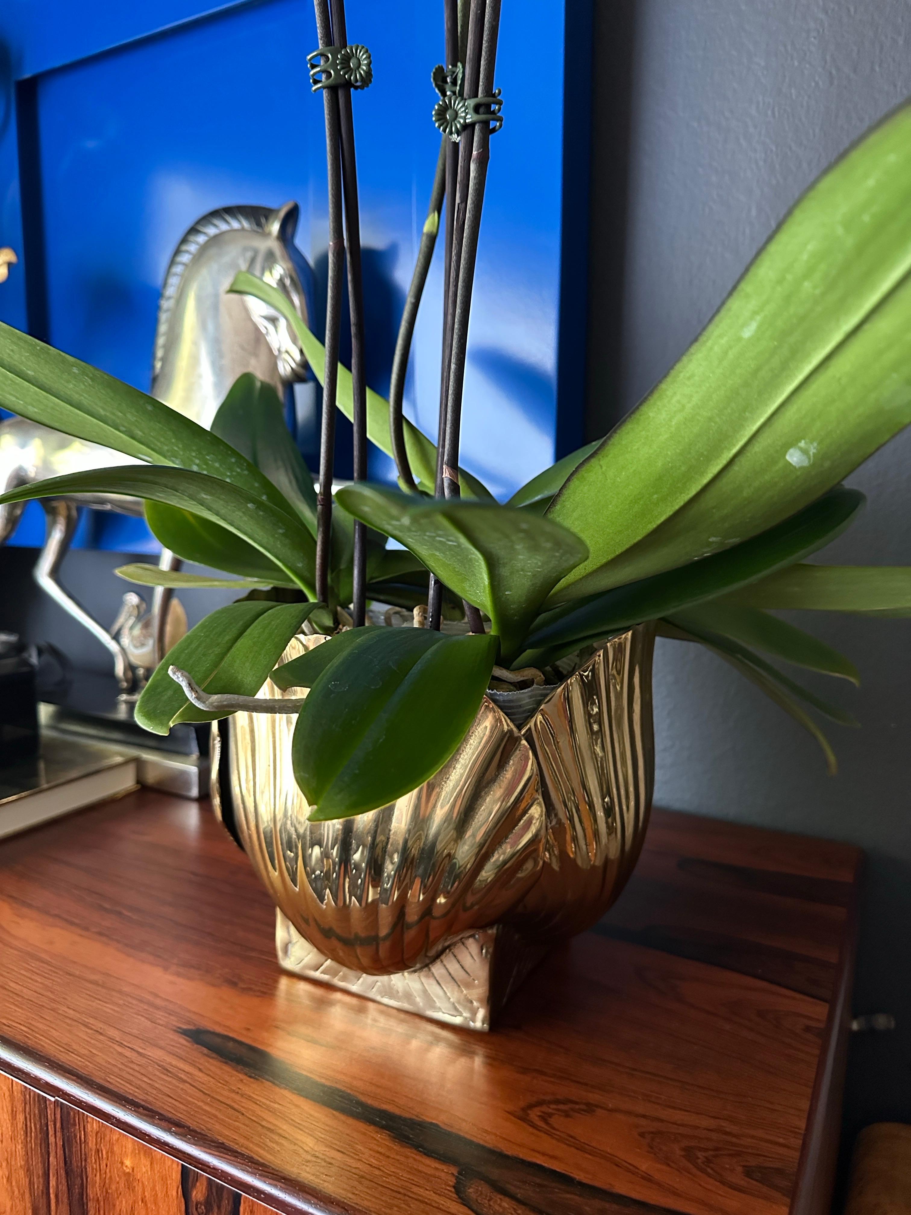 Polished Brass Sea Shell Planter 12