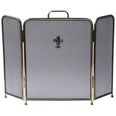Polished Brass Victorian Style Fireplace Screen or Fire Screen