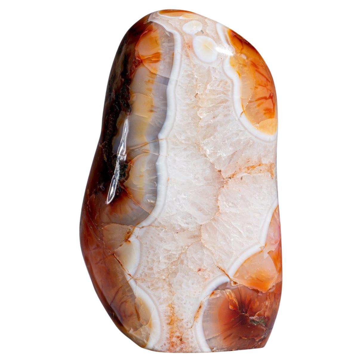 AAA quality Carnelian agate freeform from Madagascar. This beautiful piece has rich golden-yellow to red-orange color and is hand polished to a smooth, highly reflective surface. This freeform is a perfect addition to any crystal