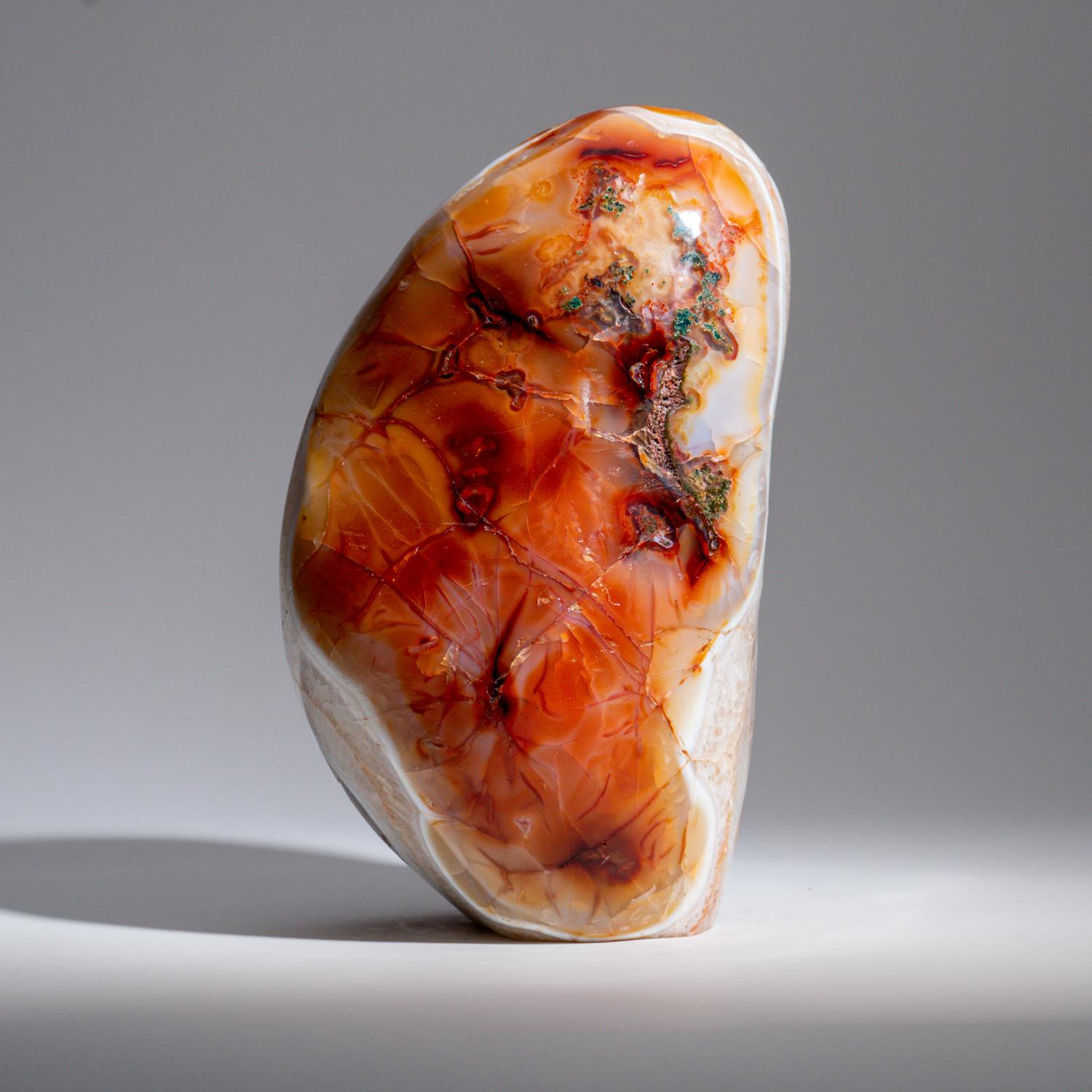 Polished Carnelian Agate Freeform from Madagascar '11.5 lbs' In New Condition For Sale In New York, NY