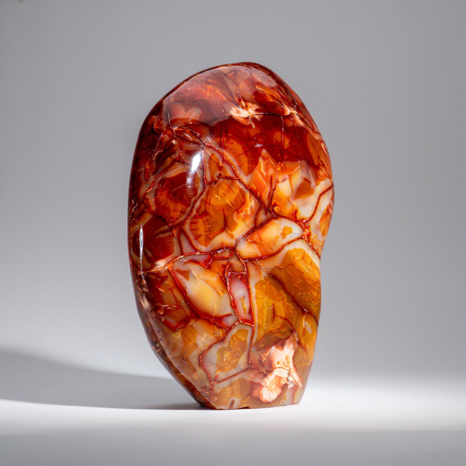 Polished Carnelian Agate Freeform from Madagascar, '17.5 lbs' In New Condition In New York, NY