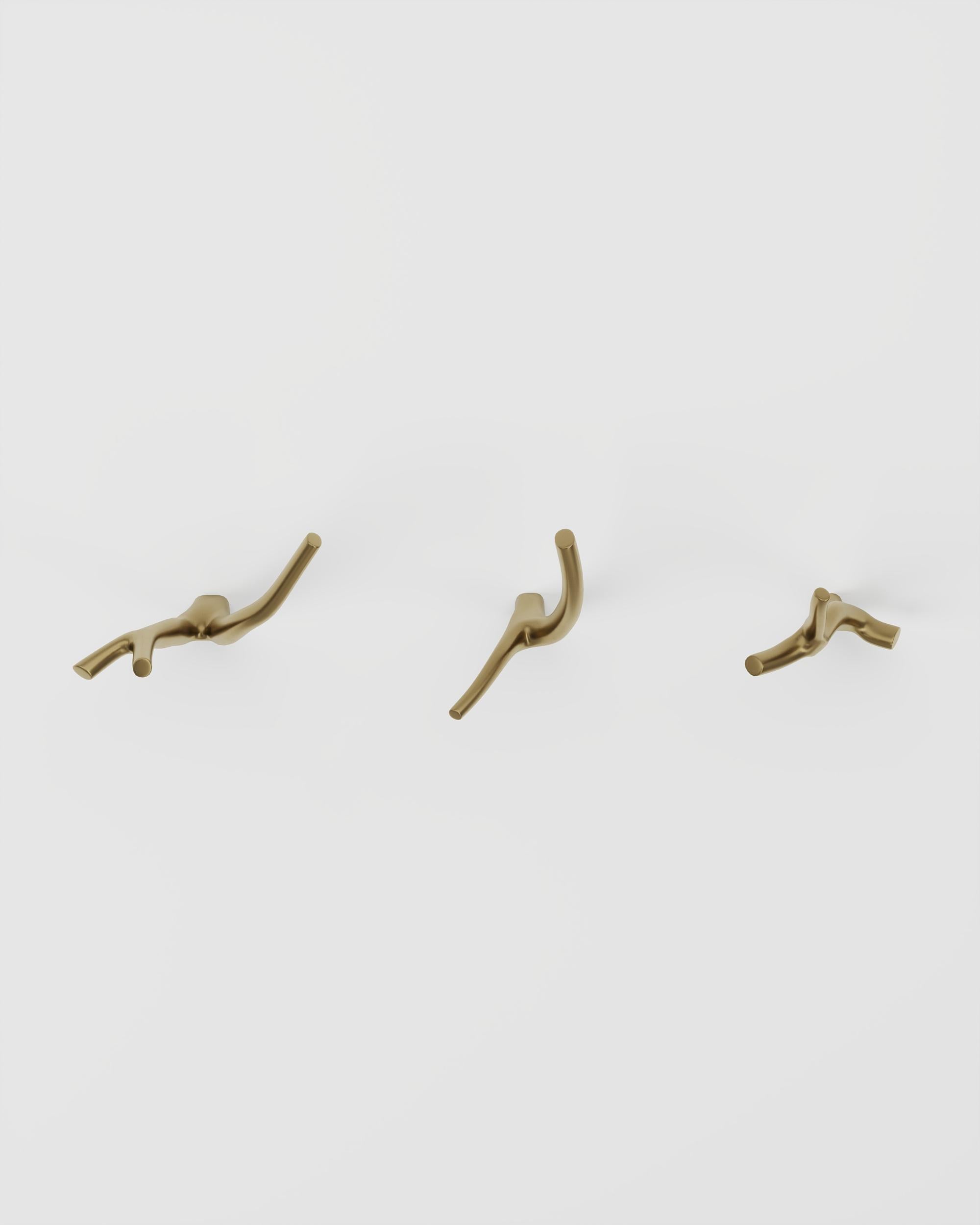 Brazilian Polished Cast Brass Galhos Wall Hanger by Studio Orth For Sale