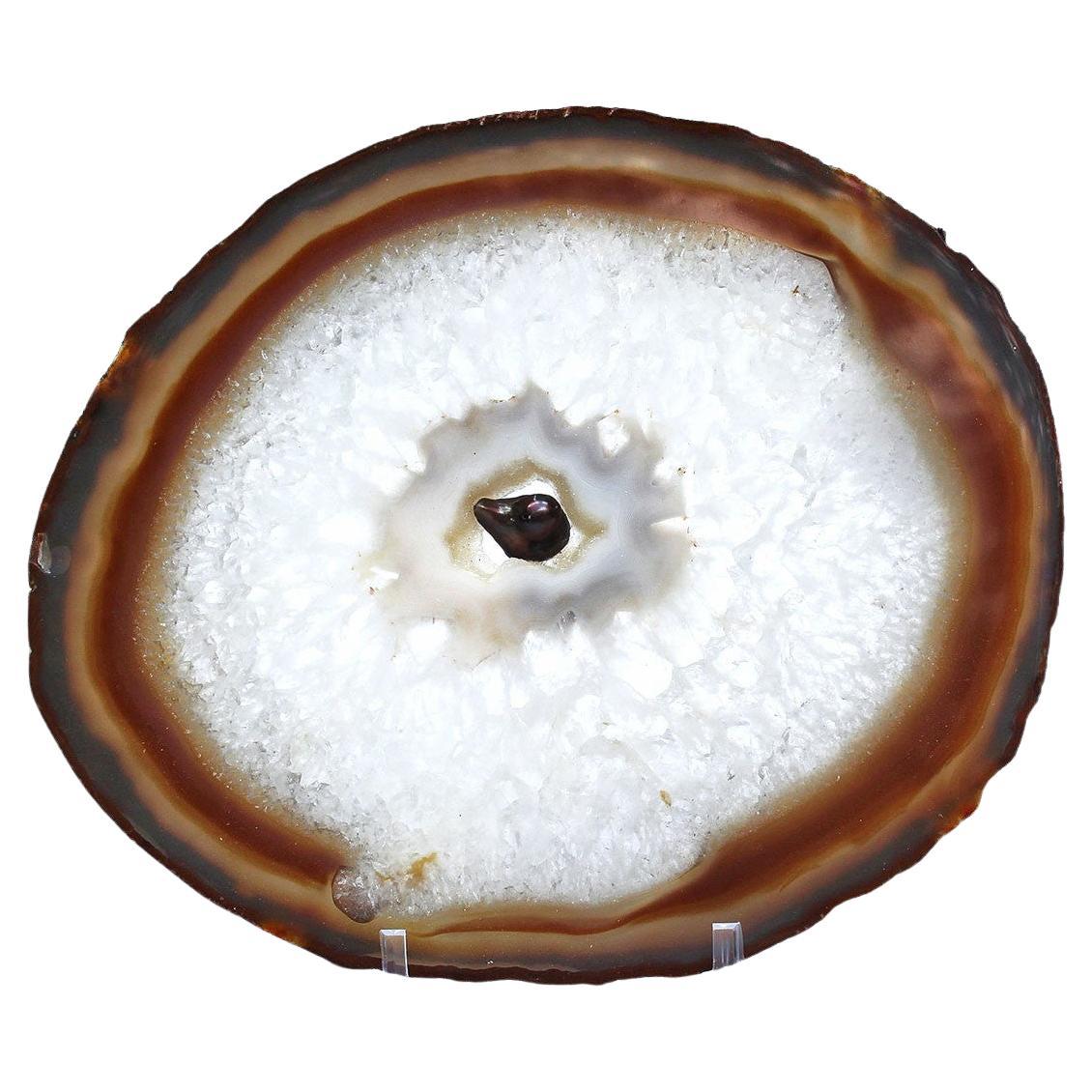 Polished Circular Agate Slice with Natural Pearl Accent