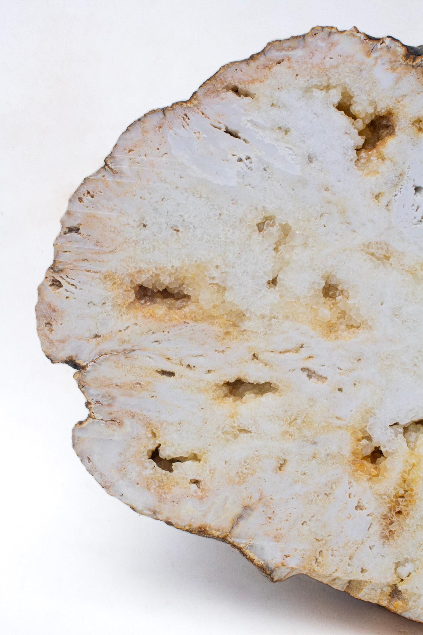 Eine seltene große polierte Quarzgeode mit cremefarbenen und goldenen Farbtönen und natürlich geformten Kristall-Druzy-Formationen.

Dieses Exemplar stammt aus der Appalachenregion in Kentucky. Er wurde von Hand gegraben und enthält goldene