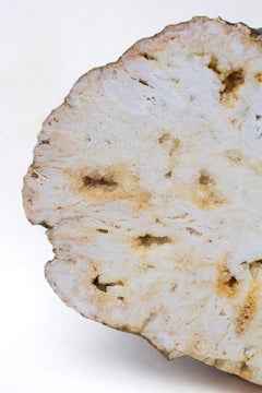 Polished Golden Crystal Quartz Geode