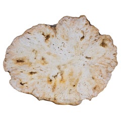Geoda de Cuarzo Cristalino Dorado Pulido