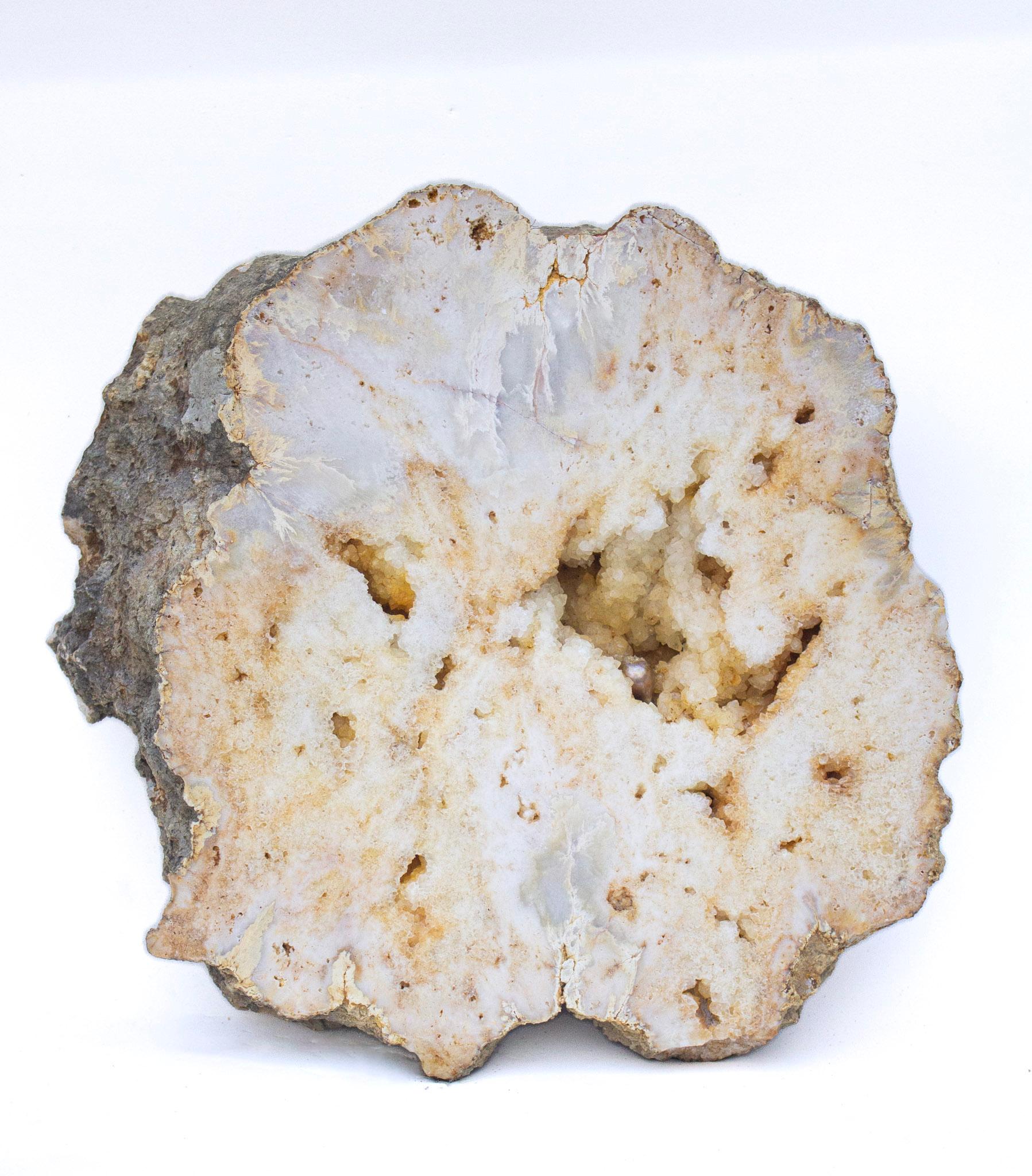Un raro geode di quarzo lucidato di grandi dimensioni con sfumature crema e dorate e formazioni di cristallo druzy che si formano naturalmente.

Questo esemplare proviene dalla regione degli Appalachi del Kentucky. È stata scavata a mano e comprende