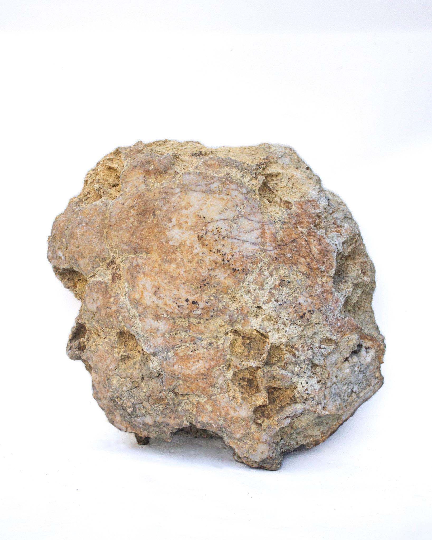Fino al XVIII secolo Geode di quarzo cristallo dorato lucido con perla barocca in vendita