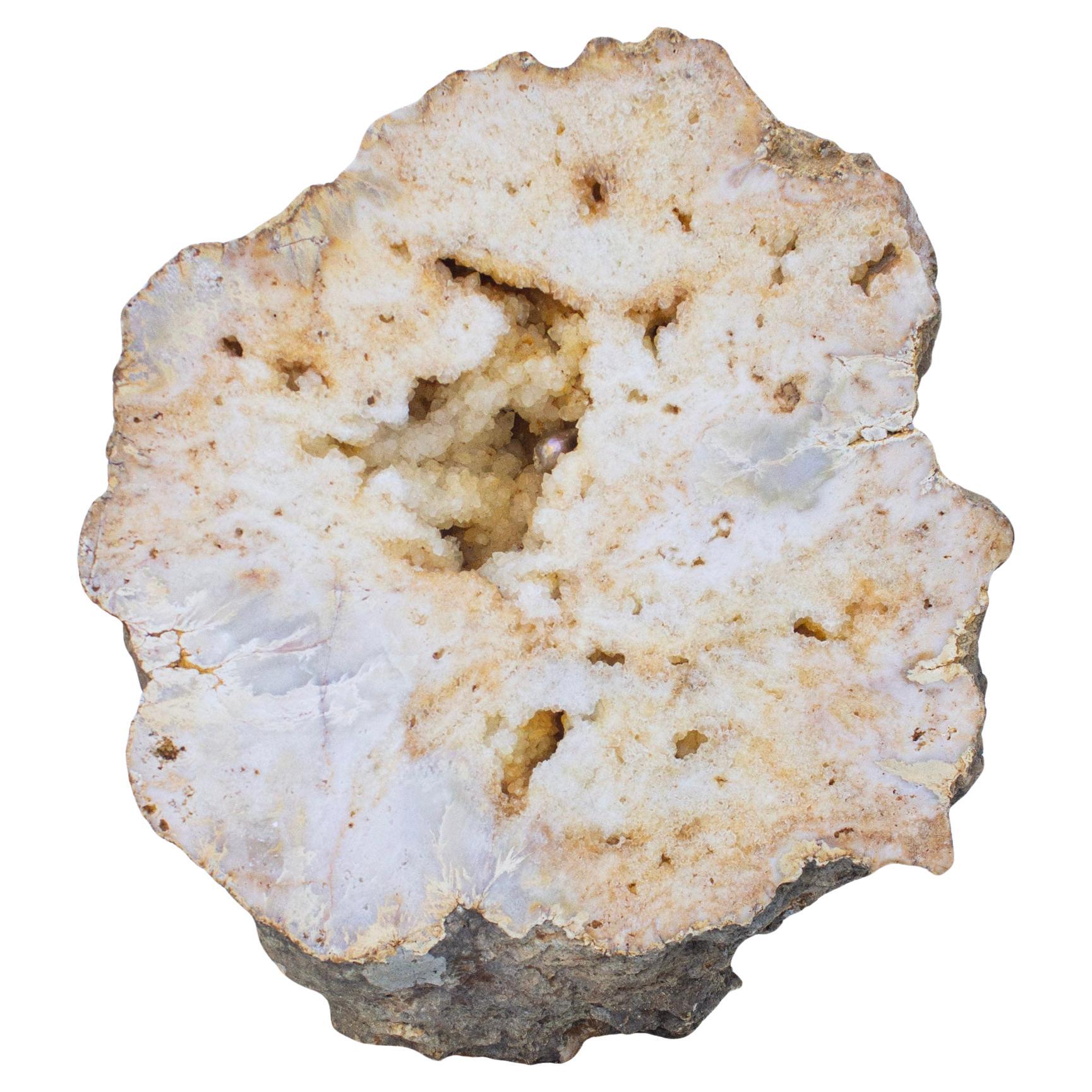 Geoda de Cuarzo Cristalino Dorado Pulido con Perla Barroca