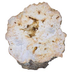 Geoda de Cuarzo Cristalino Dorado Pulido con Perla Barroca