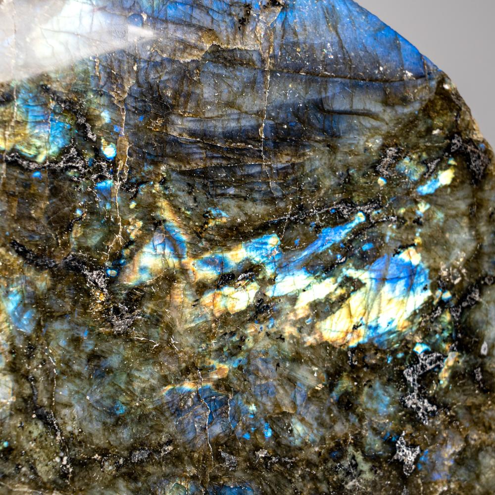 Labradorite di prima qualità, lucidata e a forma libera, con un bellissimo gioco di colori iridescenti di blu, giallo e rosso, causato dalle fratture interne del minerale che riflettono la luce avanti e indietro, disperdendola in diversi
