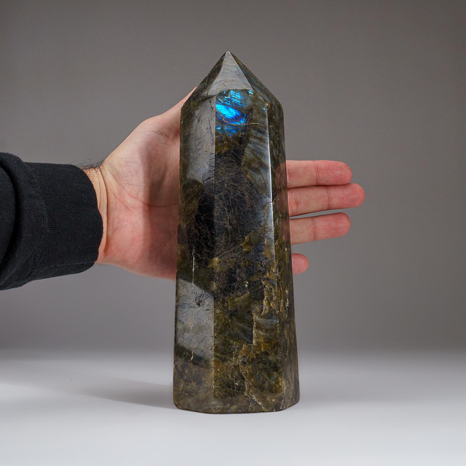 Malagasy Polished Labradorite Obelisk from Madagascar (4.9 lbs) For Sale