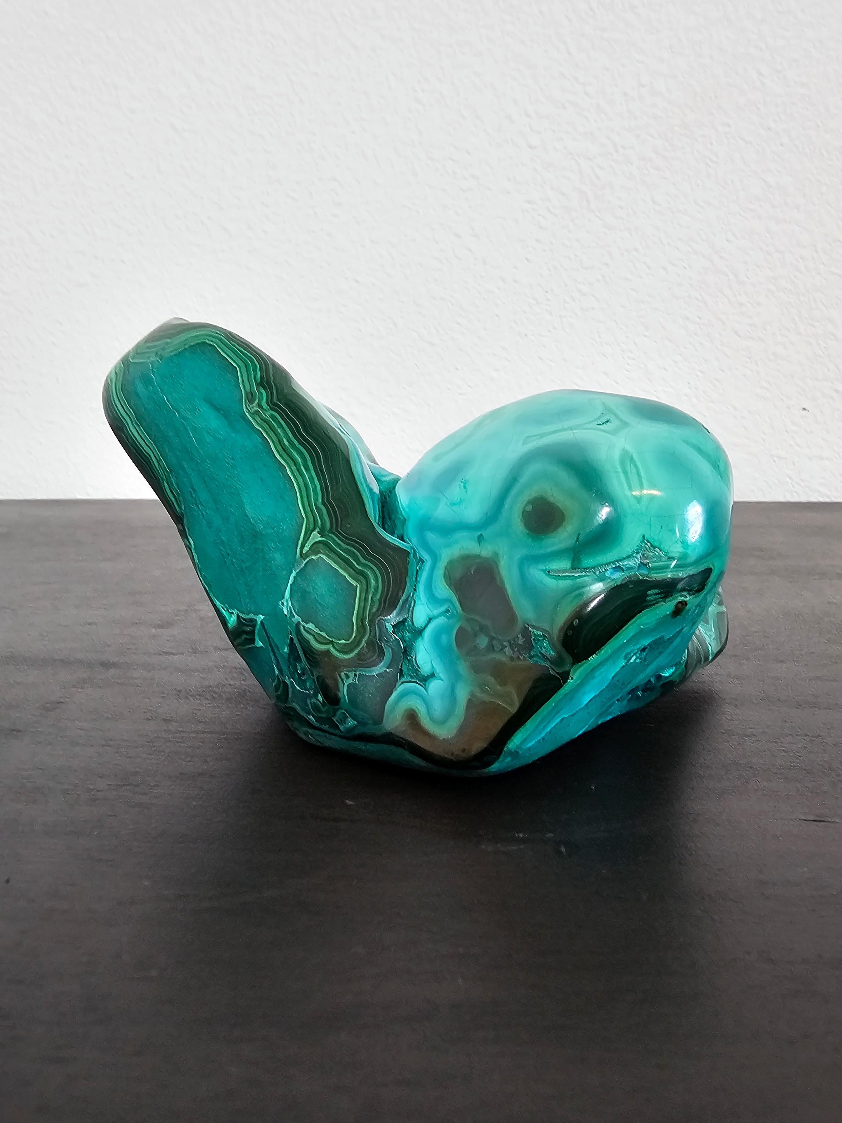 Poli Spécimen naturel de forme libre de malachite polie Chrysocolla en vente