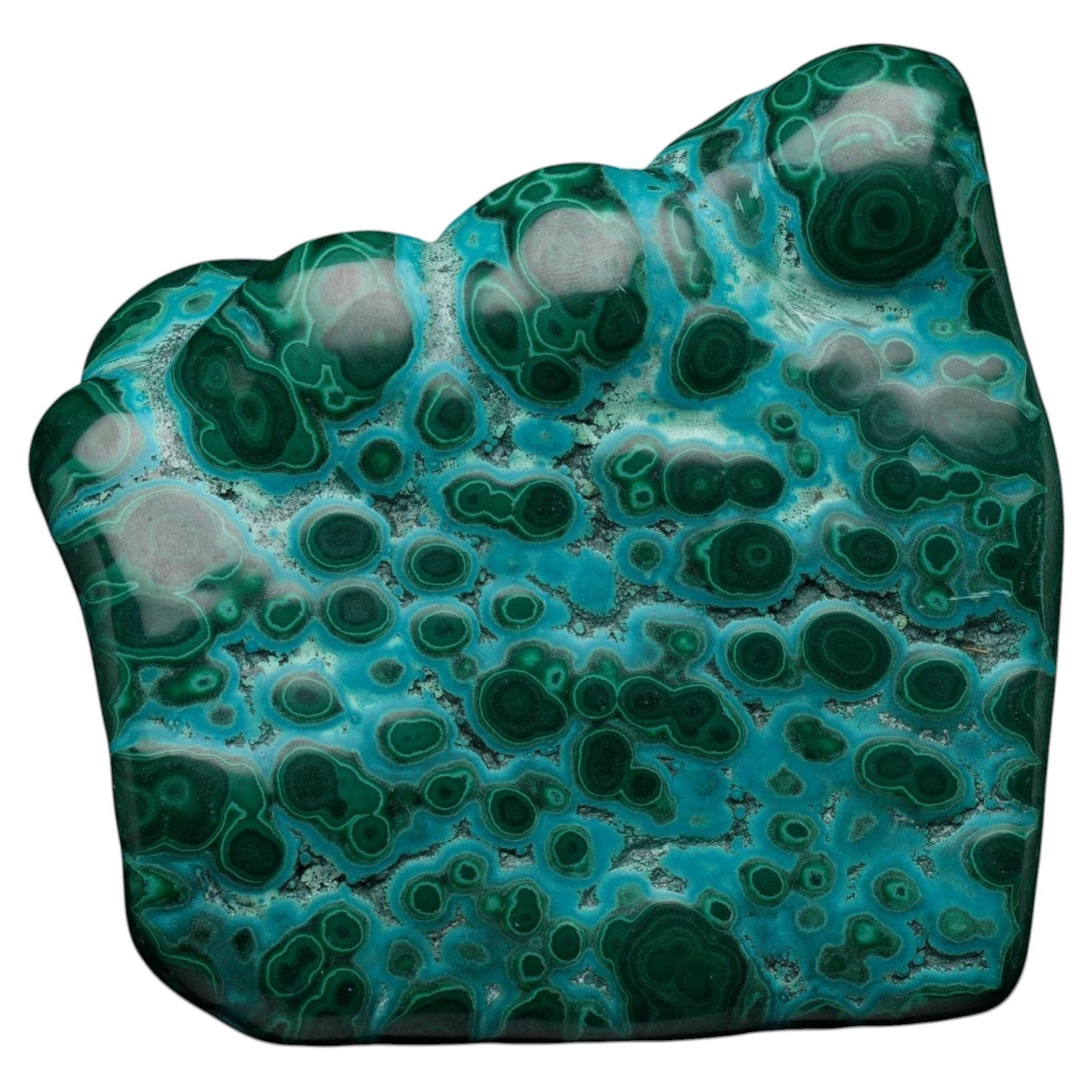 Polished Malachite with Chrysocolla – Democratic Republic of the Congo
