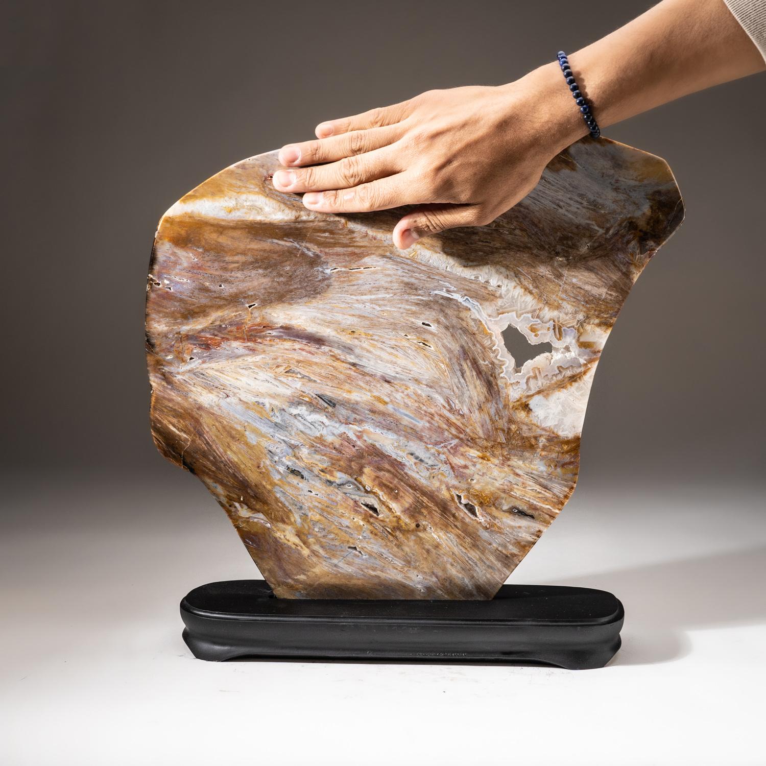 Top quality, Brazilian natural agate freeform slice in a custom black wooden frame. This piece polished on both sides, untreated and displays beautiful natural wavy patterns ranging in all earthtone colors - yellow, white quartz and brown.

Agates