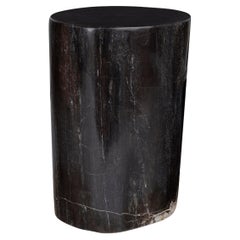 Polished Petrified Stump End Table