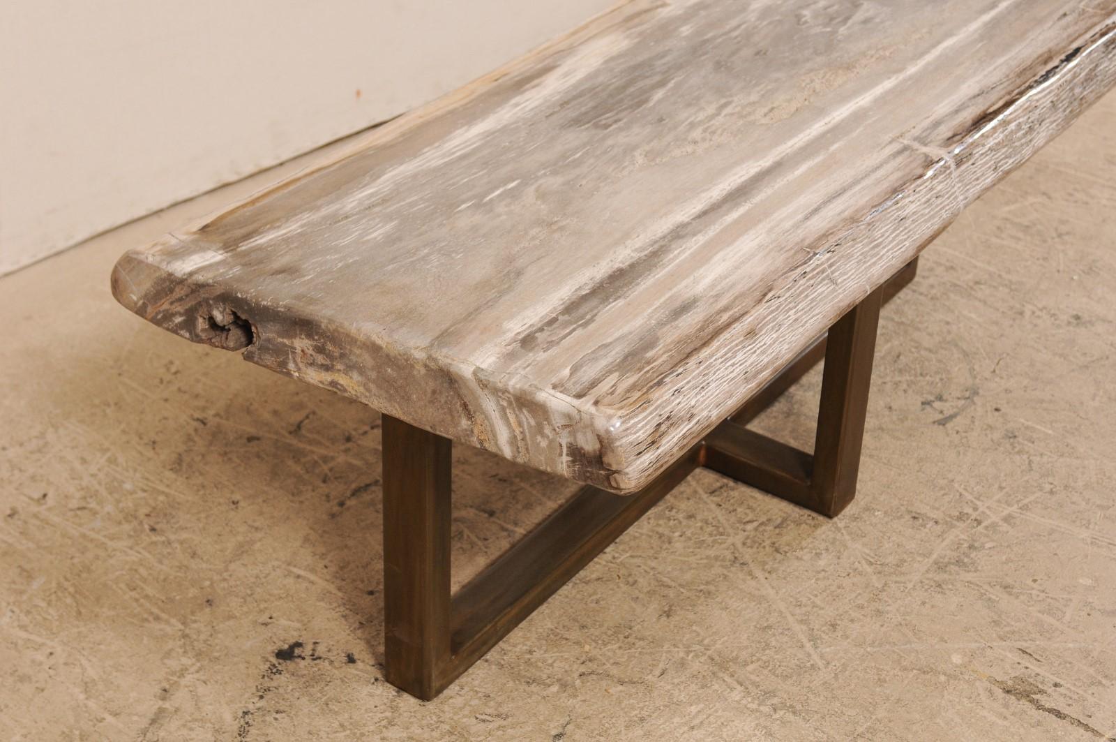 Polished Petrified Wood Coffee Table or Bench with Modern Metal Base 3