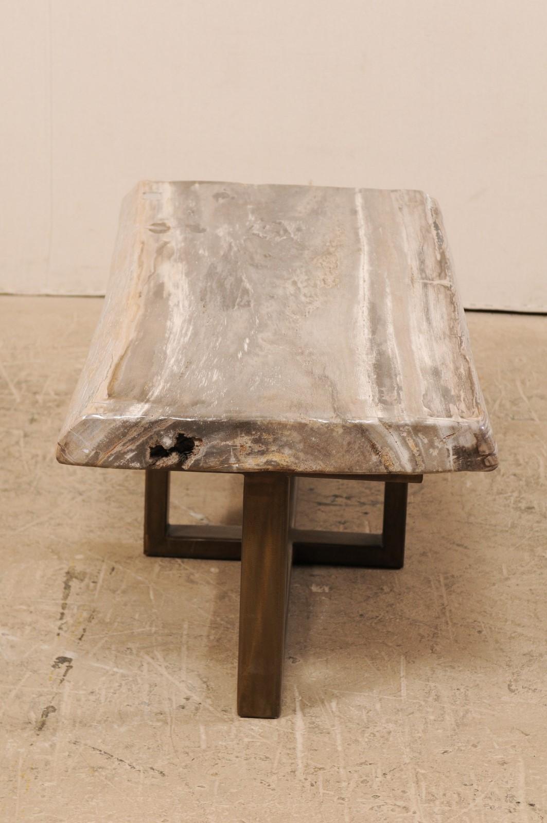Polished Petrified Wood Coffee Table or Bench with Modern Metal Base 4