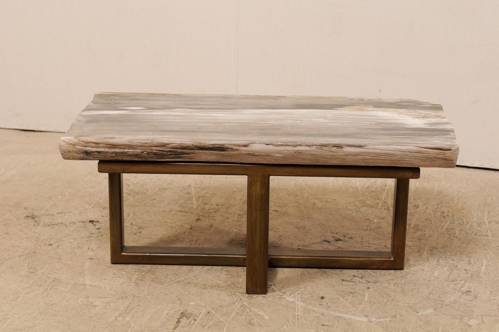 Polished Petrified Wood Coffee Table or Bench with Nice Modern Metal Base For Sale 6