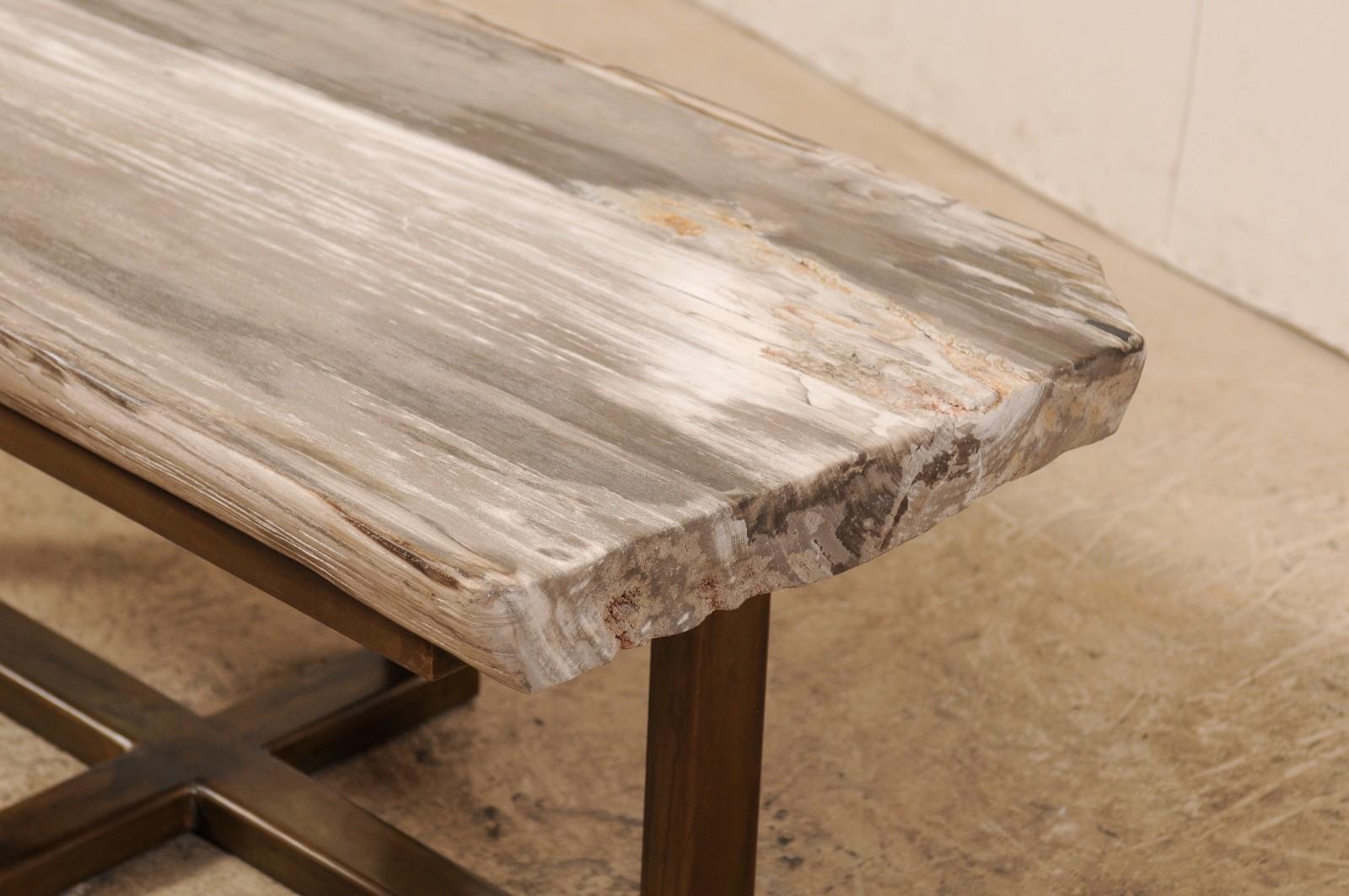 Polished Petrified Wood Coffee Table or Bench with Nice Modern Metal Base For Sale 1